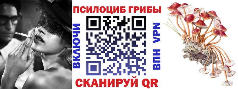 где найти наркотики  Архангельск  Псилоцибиновые грибы MAGIC MUSHROOMS 